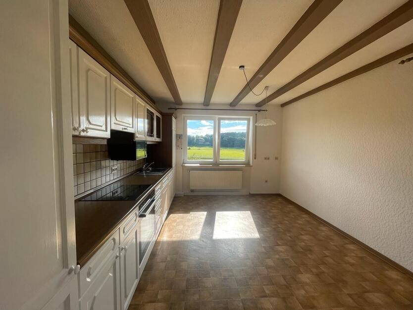 Wohnung ( ca. 175 qm, 7 Zimmer, Balkon, Großer Garten )