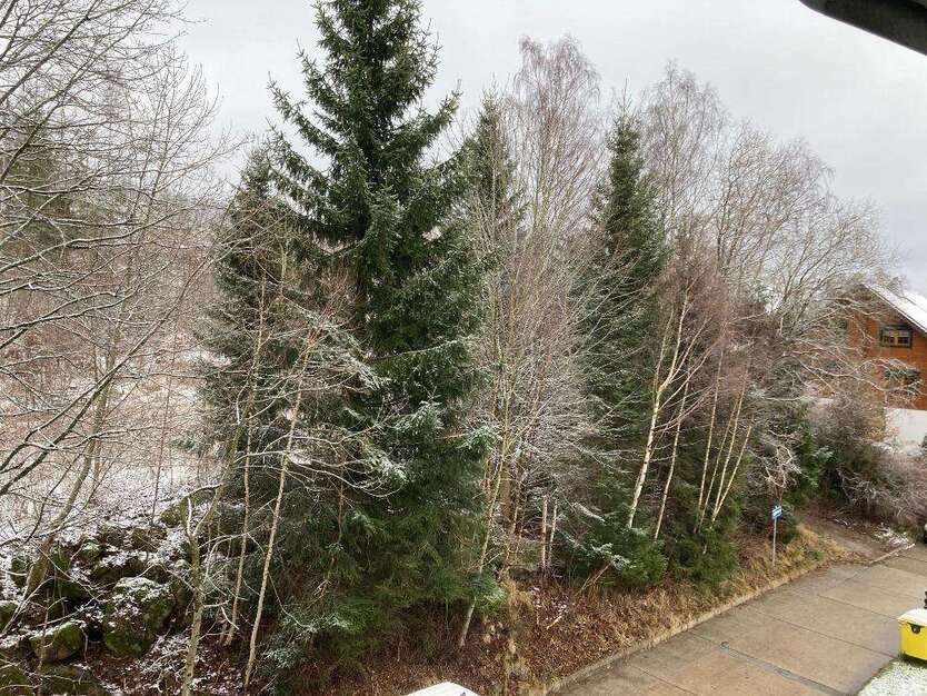 Wohnung mit Balkon und fantastischem Ausblick