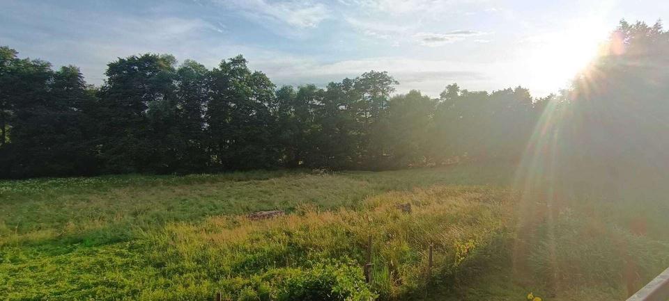 Dachgeschoßwohnung Schwerte - 2 Zimmer, 56 m&sup2;, 525&euro; | Angebot:24431216