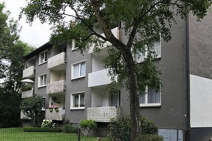 3 Zimmer in der 1 Etage, ab sofort bezugsfertig. zimmer