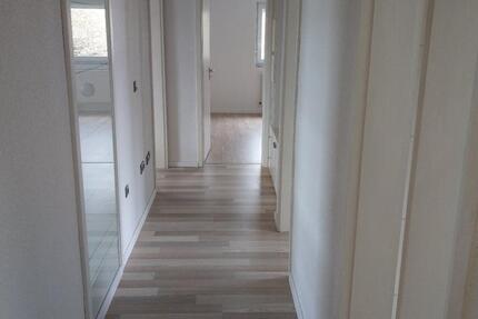 2 ZKB zu vermieten 2 zimmer