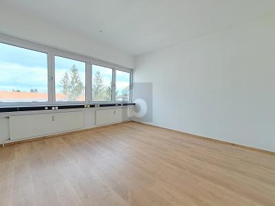 FLEXIBLE FLÄCHE - JE NACH BEDARF - MIT AUFZUG - Gewerbeobjekt München Aubing-Lochhausen-Langwied | Angebot:26956588