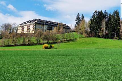 Wohnung Schwarzenberg/Erzgeb. Bermsgrün - 2 Zimmer, 47 m&sup2;, 339&euro; | Angebot:24040762