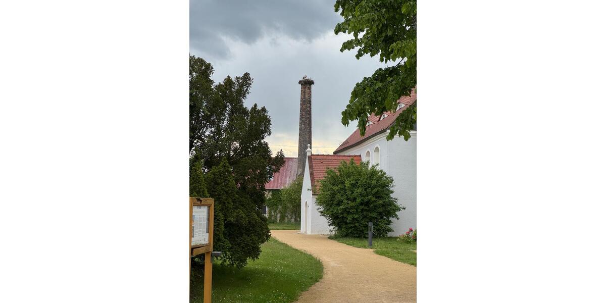 Erdgeschoßwohnung Ebersbach - 4 Zimmer, 187 m&sup2;, 1.400&euro; | Angebot:26107805