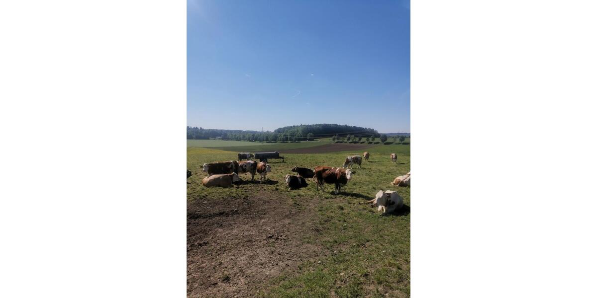 Zimmer mit eigenem Bad und geteiltem Balkon in Landhaus-6er-WG 8 zimmer