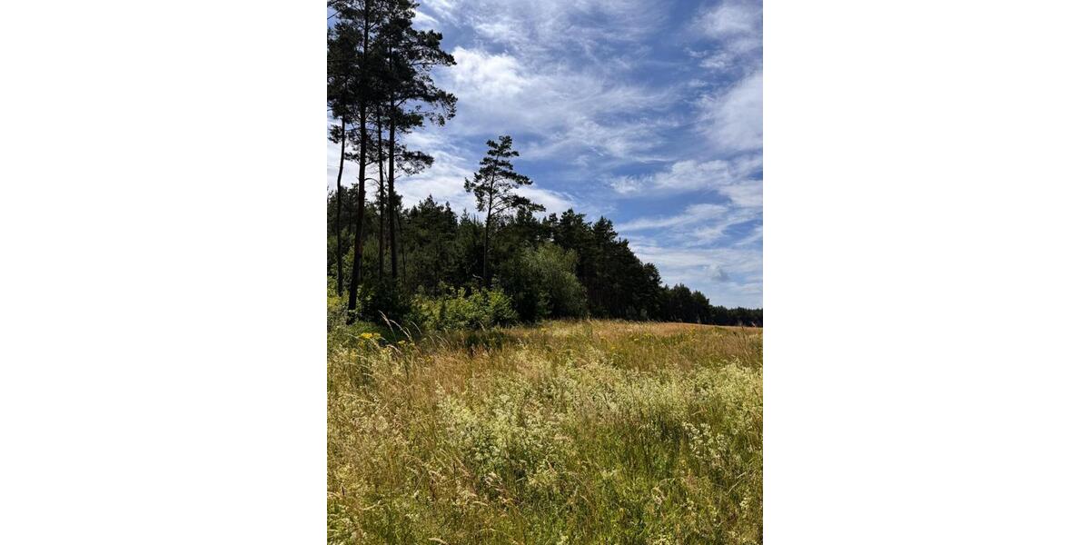 Mitbewohner:innen für spirituelles Zentrum in der Altmark 1 zimmer