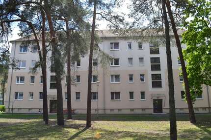 Wohnung zum Mieten in Spremberg 262,76 € 48.66 m² 2 zimmer