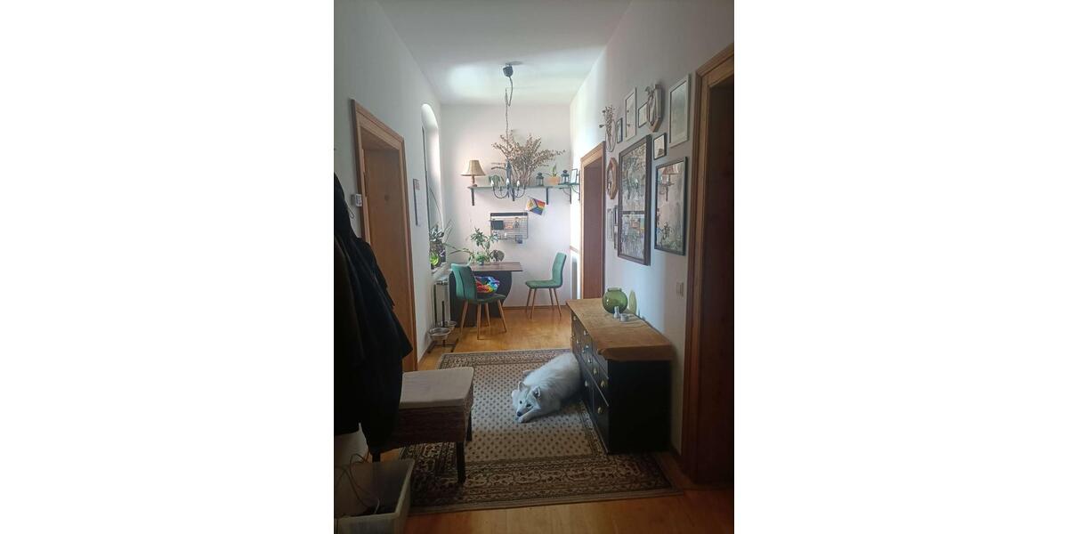 Stuck, Stil & gute Vibes – WG-Zimmer in Altbauwohnung 3 zimmer