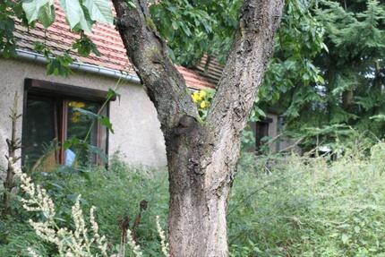 Haus Karstädt - 5 Zimmer, 150 m&sup2;, 1.500&euro; | Angebot:26089574