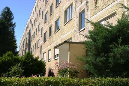 Wohnung Zeitz Hainichen - 1 Zimmer, 30 m&sup2;, 205&euro; | Angebot:25887130