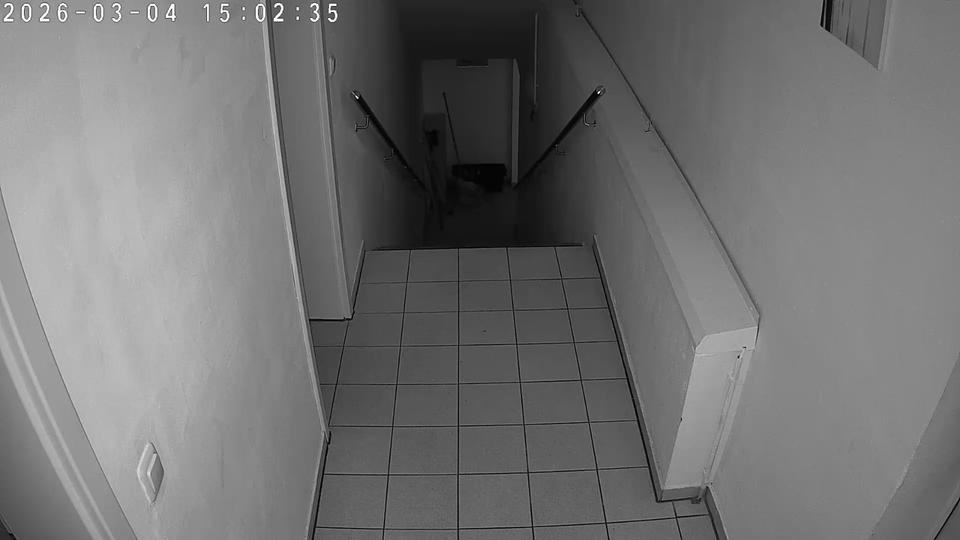 Etagenwohnung Rüdersdorf bei Berlin Hennickendorf - 5 Zimmer, 181 m&sup2;, 2.500&euro; | Angebot:25351194