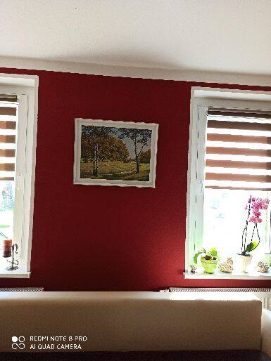 Gewerbeobjekt Ostrau Münchhof - 250&euro; | Angebot:25717490