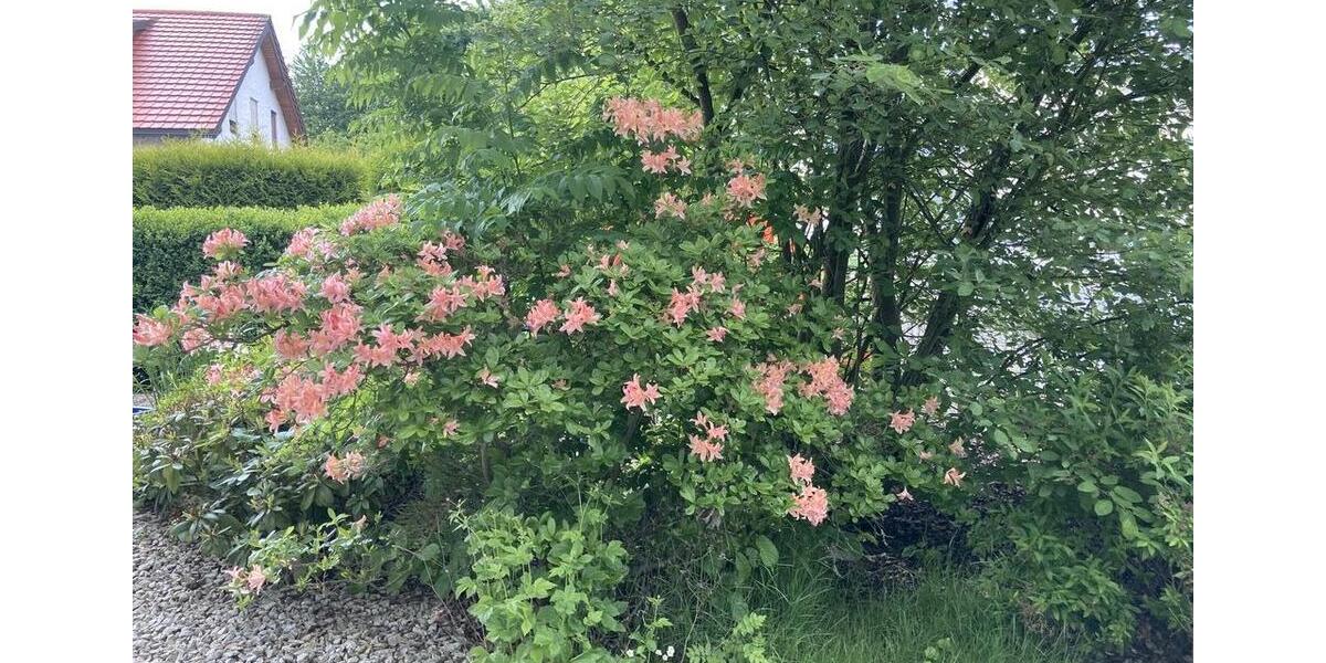 Etagenwohnung Wunsiedel - 4 Zimmer, 100 m&sup2;, 795&euro; | Angebot:23600045