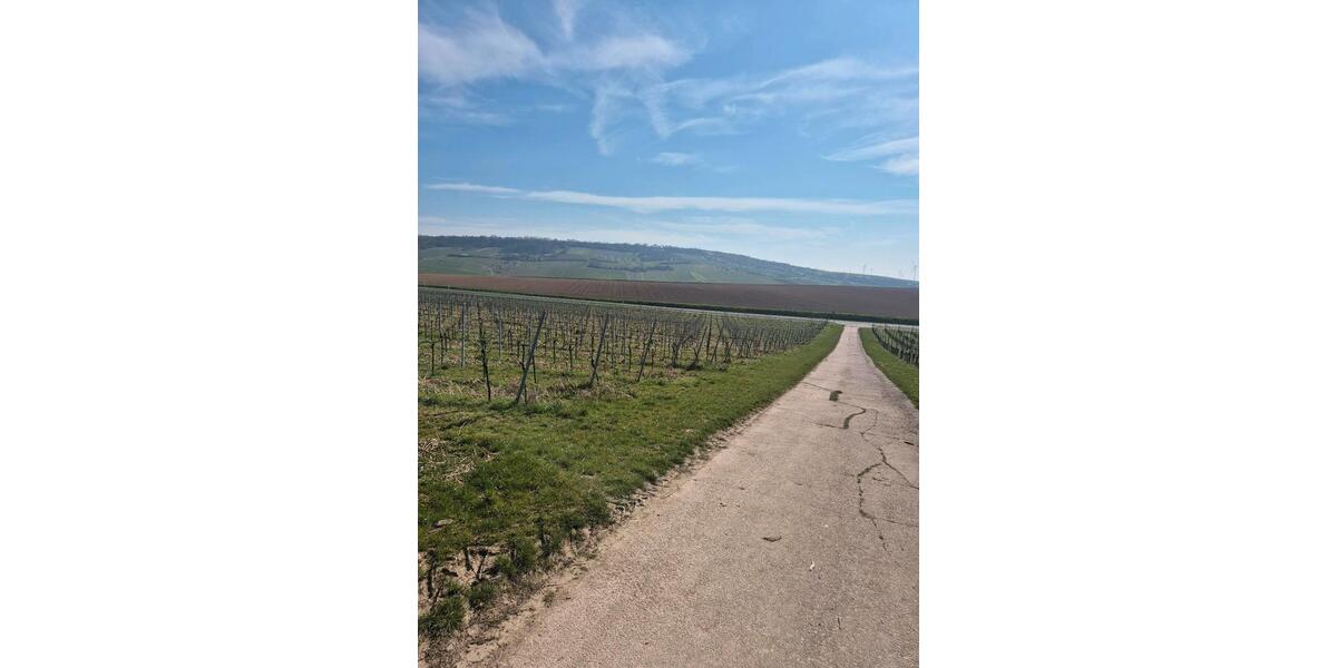 Etagenwohnung Bingen am Rhein - 1 Zimmer, 17 m&sup2;, 480&euro; | Angebot:26024381