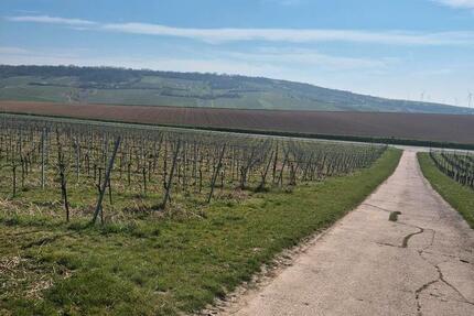 Wohnung Bingen am Rhein - 1 Zimmer, 17 m&sup2;, 480&euro; | Angebot:26024381