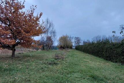 Haus Fürstenwalde (Spree) - 5 Zimmer, 150 m&sup2;, 1.200&euro; | Angebot:25170411