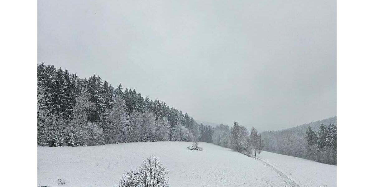 Dachgeschoßwohnung Ehrenfriedersdorf - 2 Zimmer, 59 m&sup2;, 351&euro; | Angebot:24749315