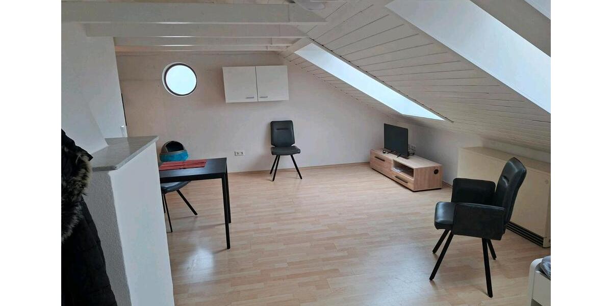 Wohnen auf Zeit Philippsburg - 12 Zimmer, 260 m&sup2;, 18&euro; | Angebot:25722511