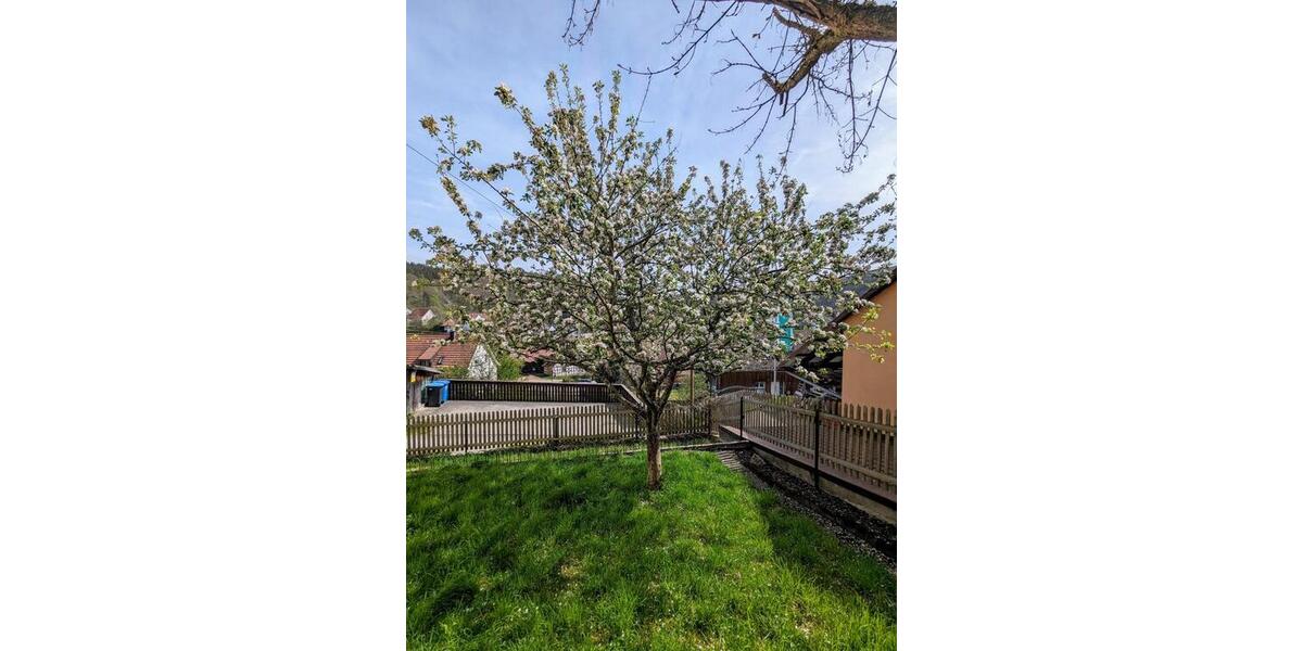 Etagenwohnung Stetten am kalten Markt - 3 Zimmer, 103 m&sup2;, 835&euro; | Angebot:24456937