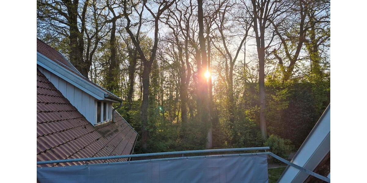 Dachgeschoßwohnung Löningen - 3 Zimmer, 95 m&sup2;, 900&euro; | Angebot:26253792