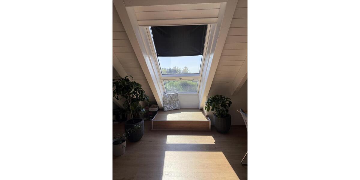 Wohnen auf Zeit Speyer - 2 Zimmer, 94 m&sup2;, 1.500&euro; | Angebot:26660498