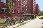 Wohnen auf Zeit Berlin Lankwitz - 1 Zimmer, 16 m&sup2;, 475&euro; | Angebot:26680832