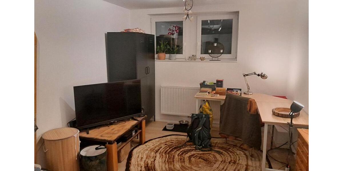 Wohnen auf Zeit Feldberg (Schwarzwald) - 1 Zimmer, 20 m&sup2;, 520&euro; | Angebot:25677526