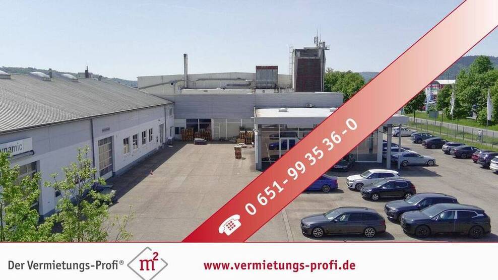 Trier-Euren: Moderne, barrierefreie Halle mit 310?m² - vielseitig nutzbar, große Fensterfront, Glasbüro & neuer moderner Gasheizung