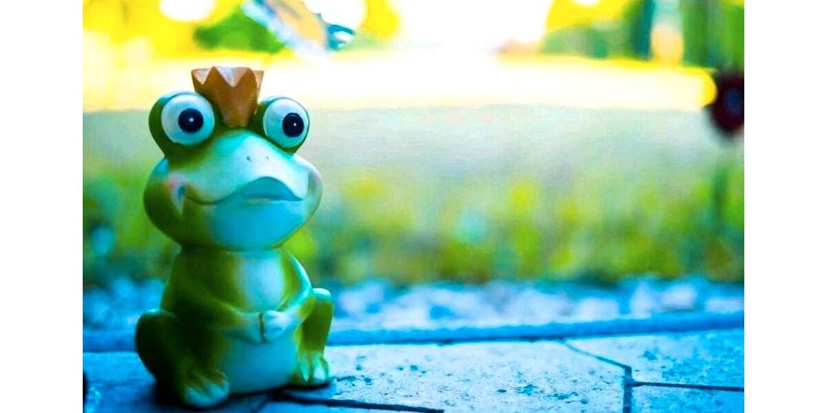 Wohnen auf Zeit Kottenheim - 1 Zimmer, 42 m&sup2;, 30&euro; | Angebot:26021894