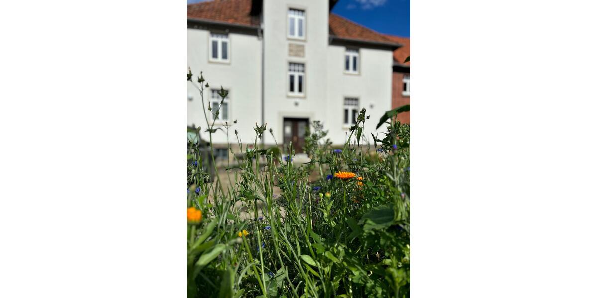 Gewerbeobjekt Wennigsen (Deister) - 520&euro; | Angebot:25728758