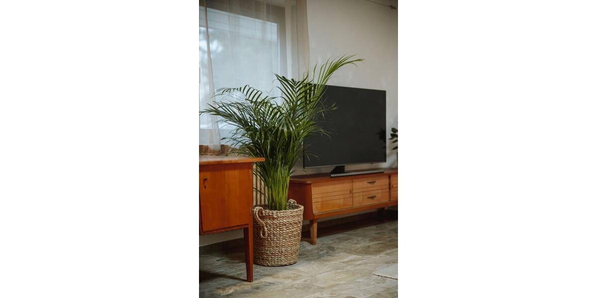 Erdgeschoßwohnung Bretzfeld - 3 Zimmer, 80 m&sup2;, 130&euro; | Angebot:25783423