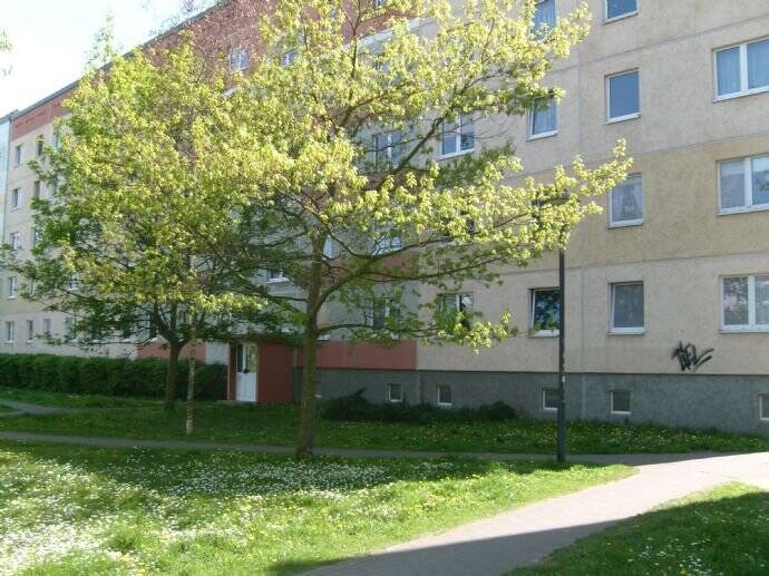 Nette Nachbarn für 1-Rwg. in der 5. Etage gesucht