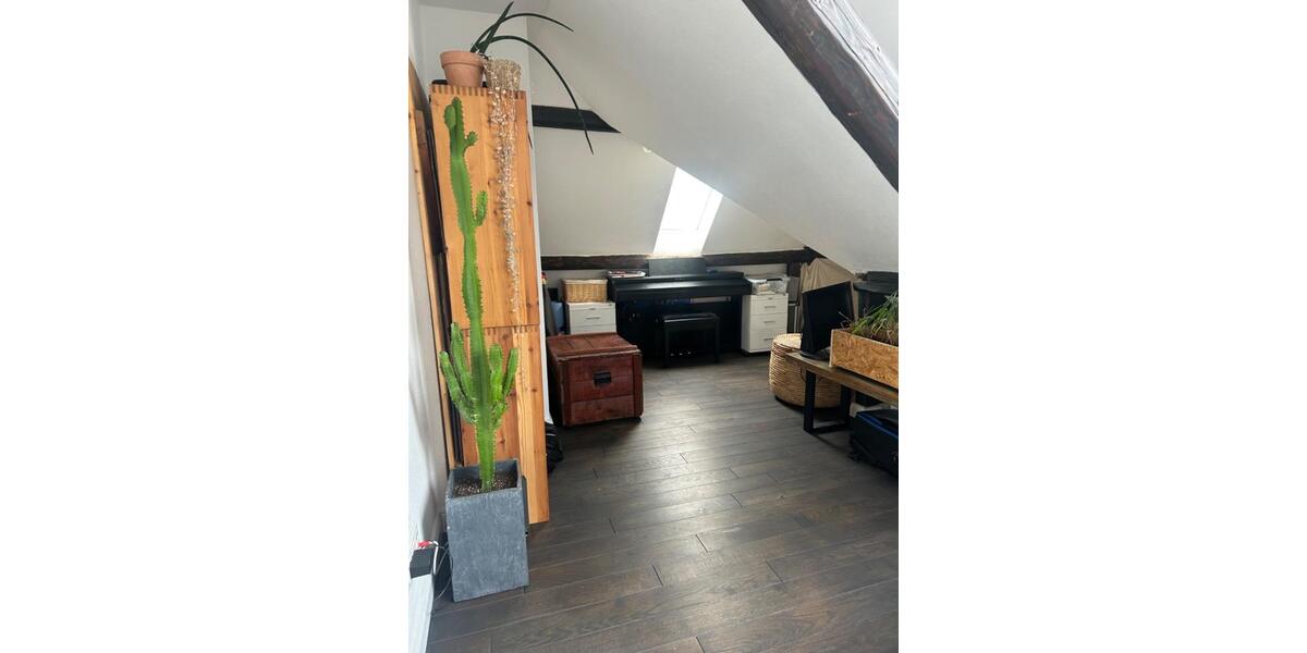 Dachgeschoßwohnung Trier - 2.5 Zimmer, 60 m&sup2;, 1.200&euro; | Angebot:24921324