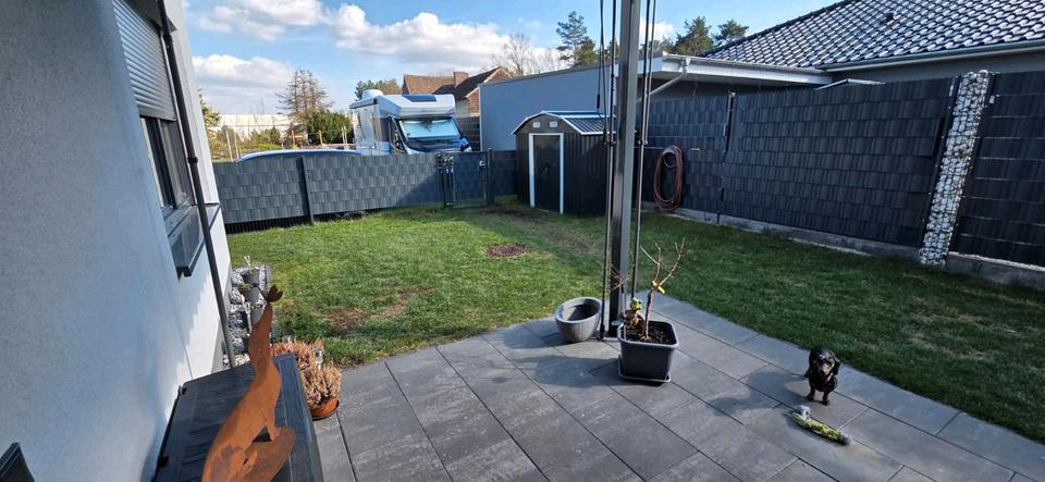 Erdgeschoßwohnung Senftenberg - 2 Zimmer, 83 m&sup2;, 875&euro; | Angebot:26045364