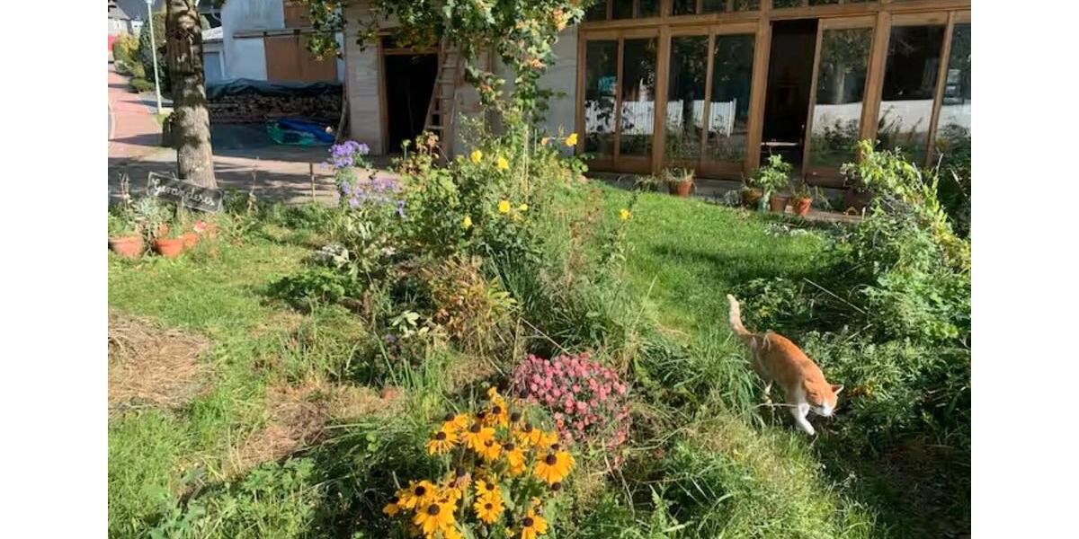 Einfamilienhaus Allendorf (Eder) - 7 Zimmer, 100 m&sup2;, 800&euro; | Angebot:24217675