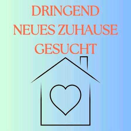 Etagenwohnung Waiblingen - 2 Zimmer, 50 m&sup2;, 700&euro; | Angebot:24729087