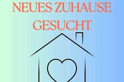 Wohnung Waiblingen - 2 Zimmer, 50 m&sup2;, 700&euro; | Angebot:24729087