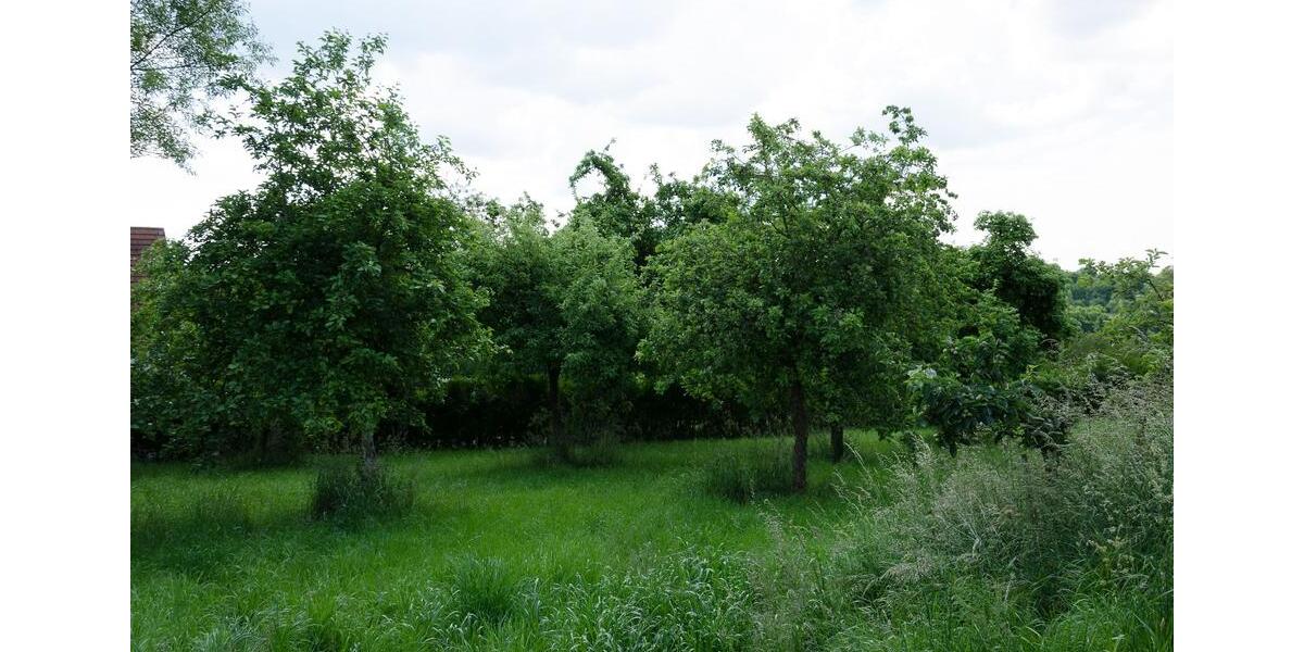 Wohnen auf Zeit Höheinöd - 5 Zimmer, 230 m&sup2;, 268&euro; | Angebot:9494070