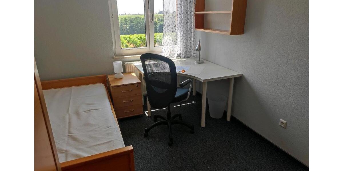 Wohnen auf Zeit Edenkoben - 1 Zimmer, 15 m&sup2;, 320&euro; | Angebot:26030111