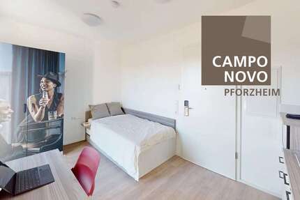 Wohnung Pforzheim Nordstadt - 1 Zimmer, 27 m&sup2;, 372&euro; | Angebot:24454486