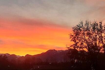 Wohnung mit Terrasse und Garage 1 zimmer
