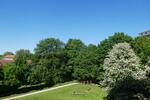 Etagenwohnung Gelsenkirchen Gelsenkirchen-Nord - 2 Zimmer, 58 m&sup2;, 389&euro; | Angebot:26147117