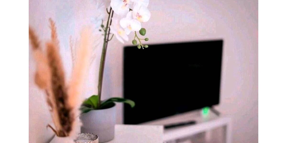 Wohnen auf Zeit Kottenheim - 1 Zimmer, 42 m&sup2;, 30&euro; | Angebot:26021894