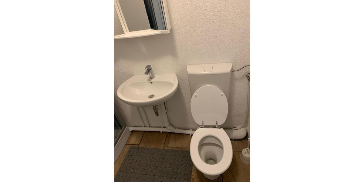 Erdgeschoßwohnung Bechtolsheim - 1 Zimmer, 30 m&sup2;, 750&euro; | Angebot:23624915