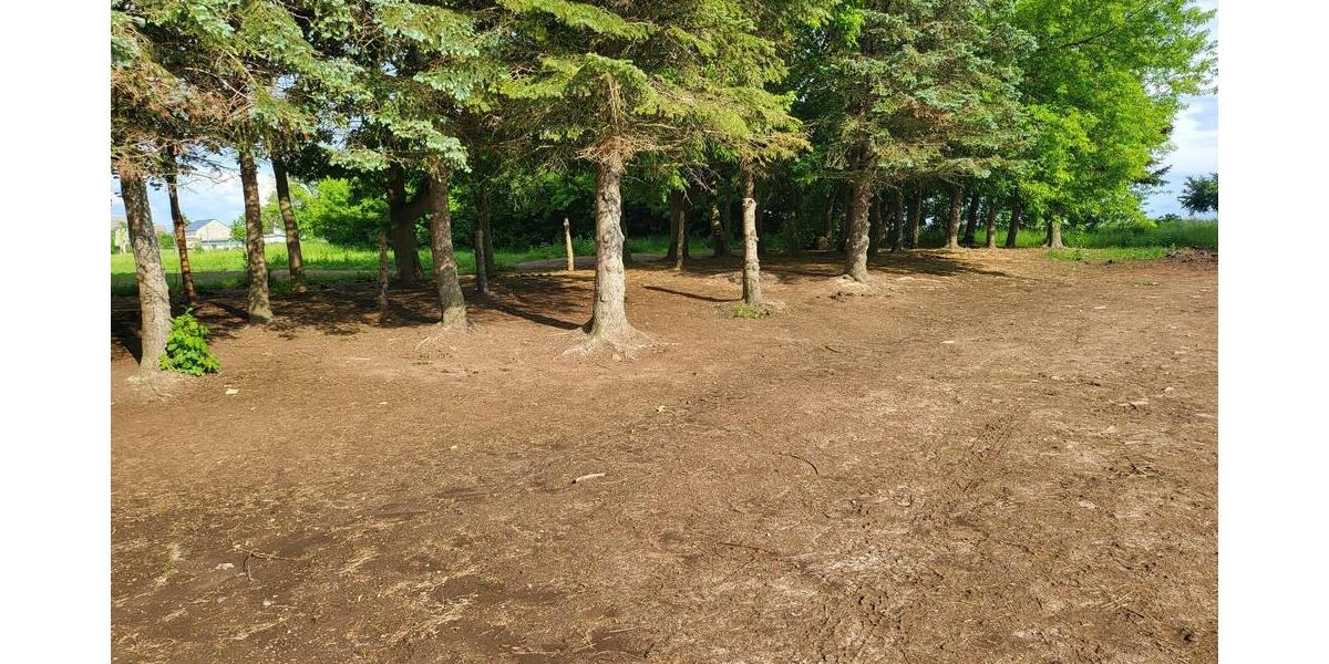 Pferdestallanlage mit Weideflächen in Kriebstein OT Ehrenberg zur Pacht! - Gewerbeobjekt Kriebstein Ehrenberg | Angebot:27212877