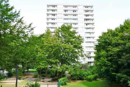 Wohnung zum Mieten in Wuppertal 327 € 32 m² 1 zimmer