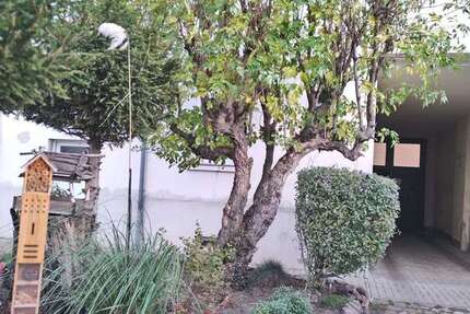 Wohnung Magdeburg Sudenburg - 2 Zimmer, 48 m&sup2;, 336&euro; | Angebot:25281613