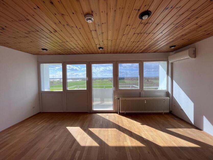 1 Zimmer Wohnung Weiterstadt Schneppenhausen
