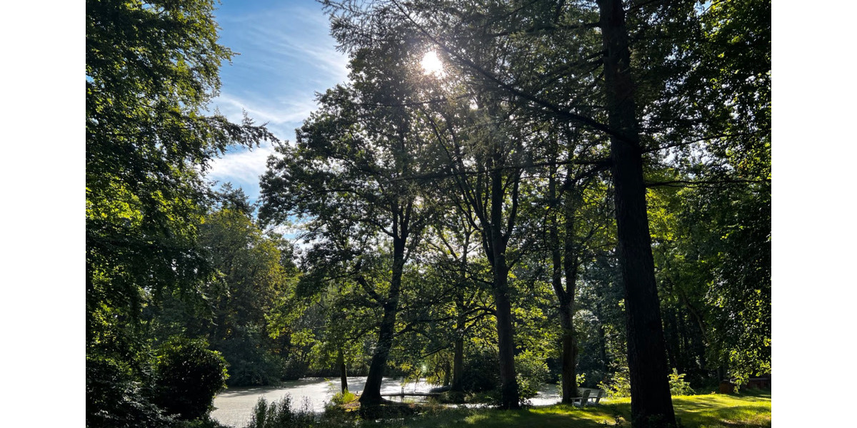 Wohnen auf Zeit Wilster - 1 Zimmer, 20 m&sup2;, 680&euro; | Angebot:22753309