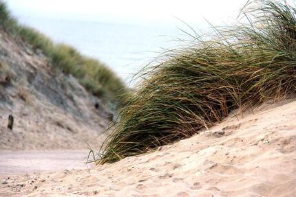 Wohnung Oldenburg Etzhorn - 1 Zimmer, 22 m&sup2;, 480&euro; | Angebot:24510503